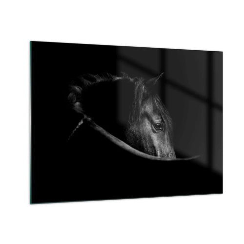 Quadro em vidro - Perfil de um cavalo preto na sombra com um olho visível - 70x50cm - Príncipe Negro - Decoração de parede moderna para a sala de estar e quarto ARTTOR