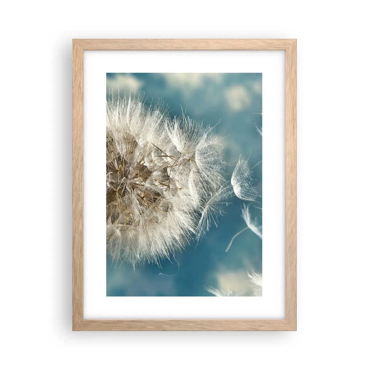 Pôster com moldura de carvalho claro - Respiração de um anjo - 30x40 cm