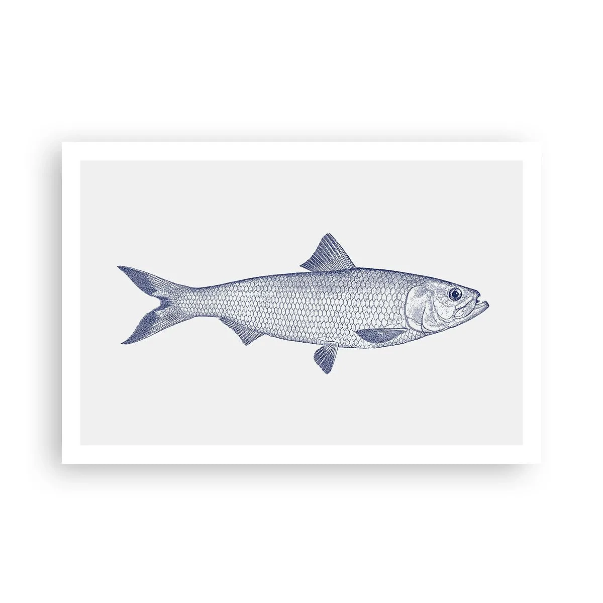 Pôster - Saudações dos mares do norte - 91x61 cm