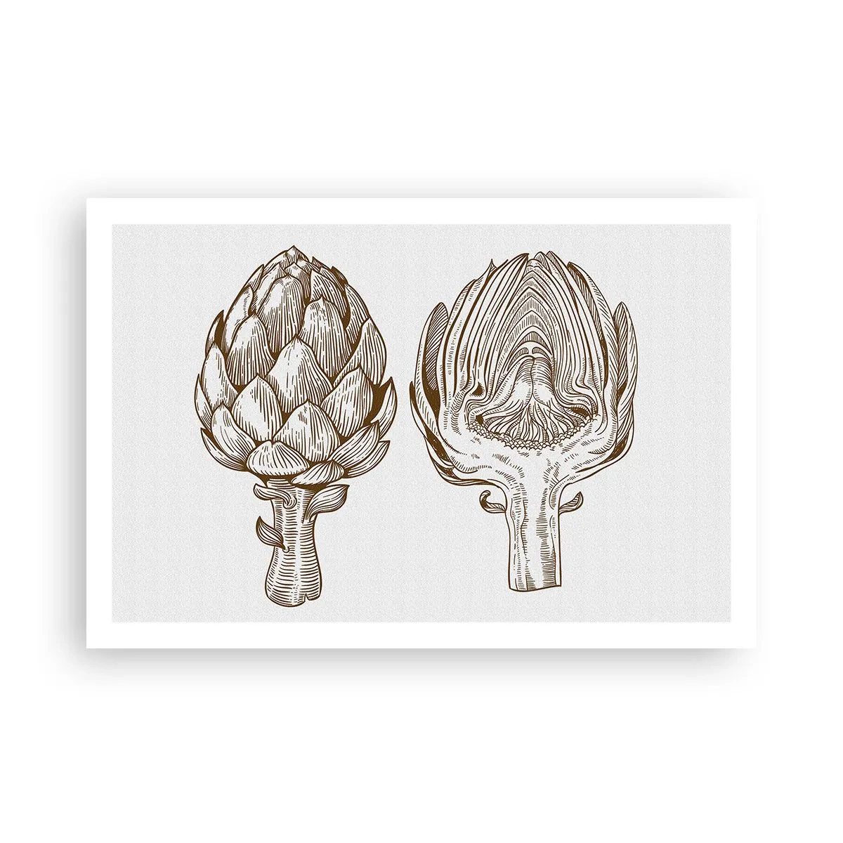 Pôster - Aula de anatomia - 91x61 cm