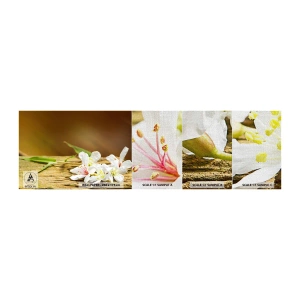 Amostra de papel de parede Premium Canvas - Uma promessa inocente - Flores, Bambu, Spa - 100x30 cm