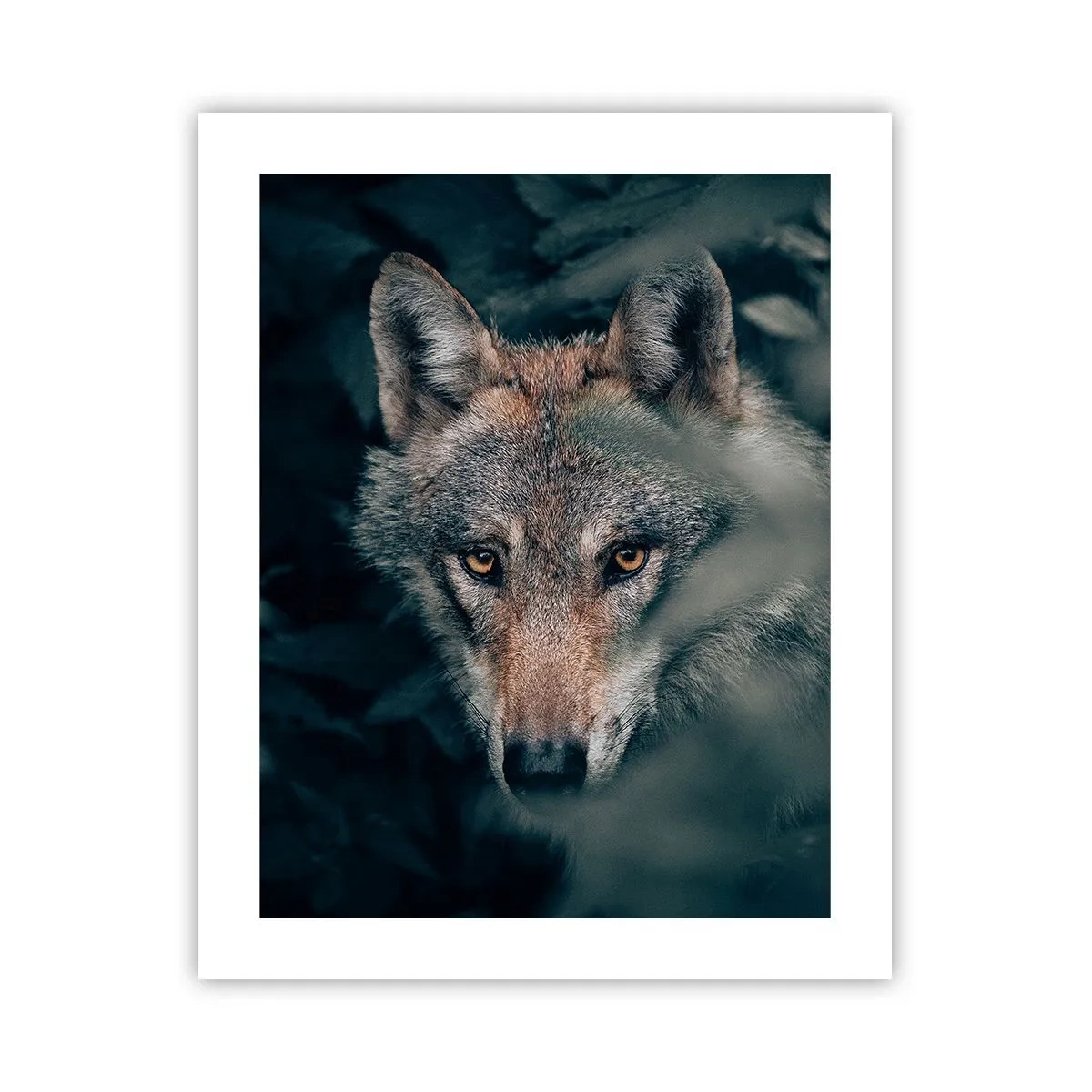 Pôster - Caçador - 40x50 cm