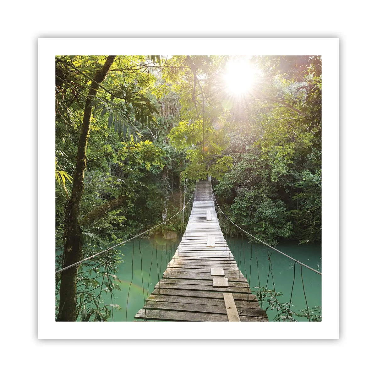 Pôster - Da água azul para a floresta azul - 60x60 cm