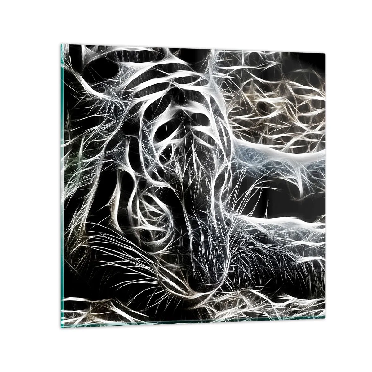 Quadro em vidro - Um estudo da leveza do gato - 70x70 cm