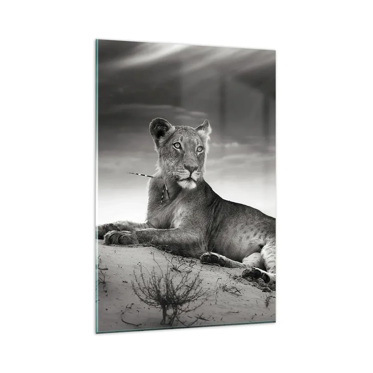 Quadro em vidro - Descanso da Rainha do Deserto - 80x120 cm