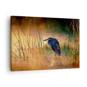 Quadro em tela - Uma garça nos pântanos ao pôr do sol entre ervas altas - 70x50cm - Já chega de fotos - Decoração de parede moderna para a sala de estar e quarto ARTTOR