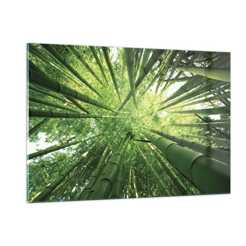 Quadro em vidro - Em um bosque de bambu - 120x80 cm