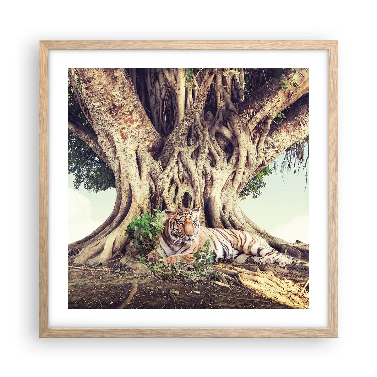 Pôster com moldura de carvalho claro - Vista do livro de Gênesis - 50x50 cm