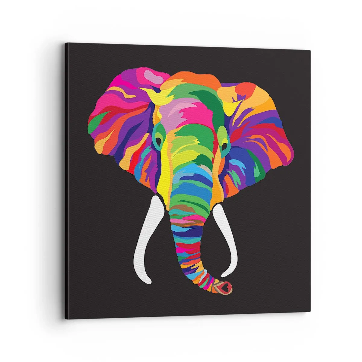 Quadro em tela - O elefante que adorava banhar-se no arco-íris - 70x70 cm