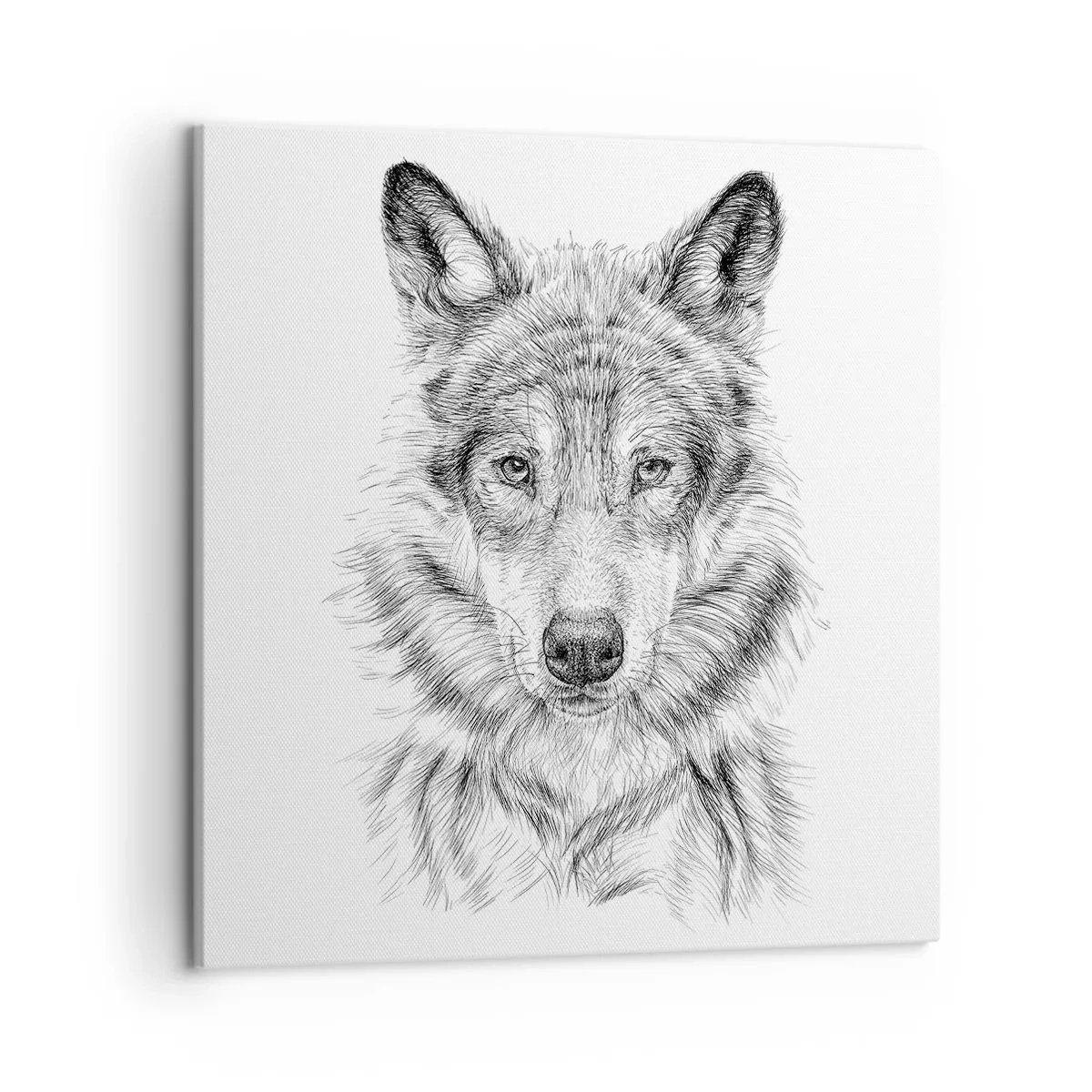 Quadro em tela - Um líder nato - 50x50 cm