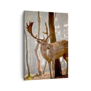 Quadro em tela - A Luz da Juventude - 50x70 cm