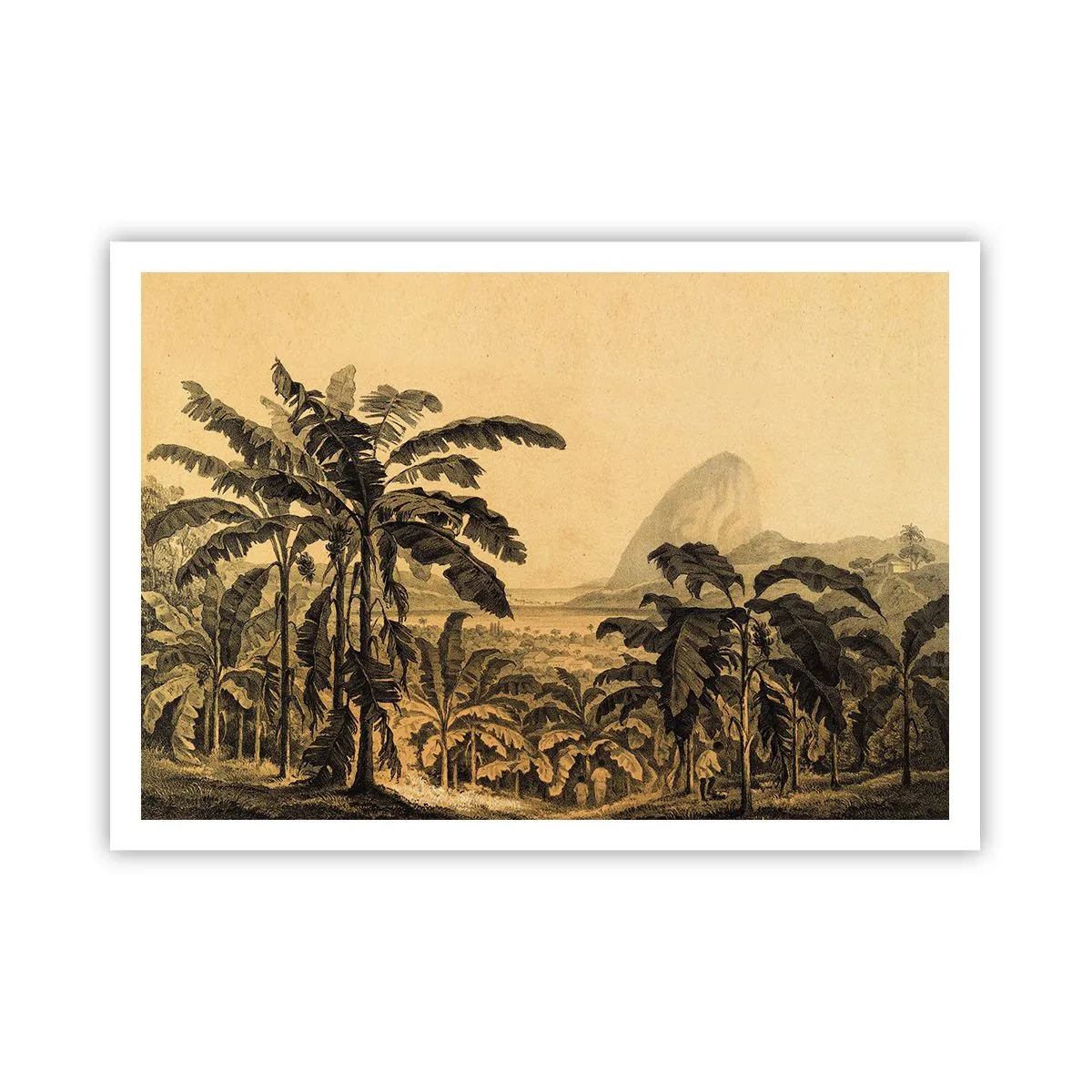 Pôster - num clima colonial - 100x70 cm