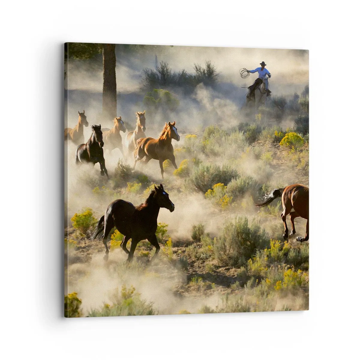 Quadro em tela - Competição - liberdade ou força masculina? - 70x70 cm