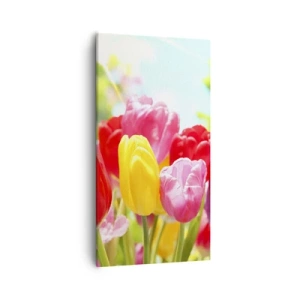 Quadro em tela - Somos nós, as cores de maio! - 55x100 cm