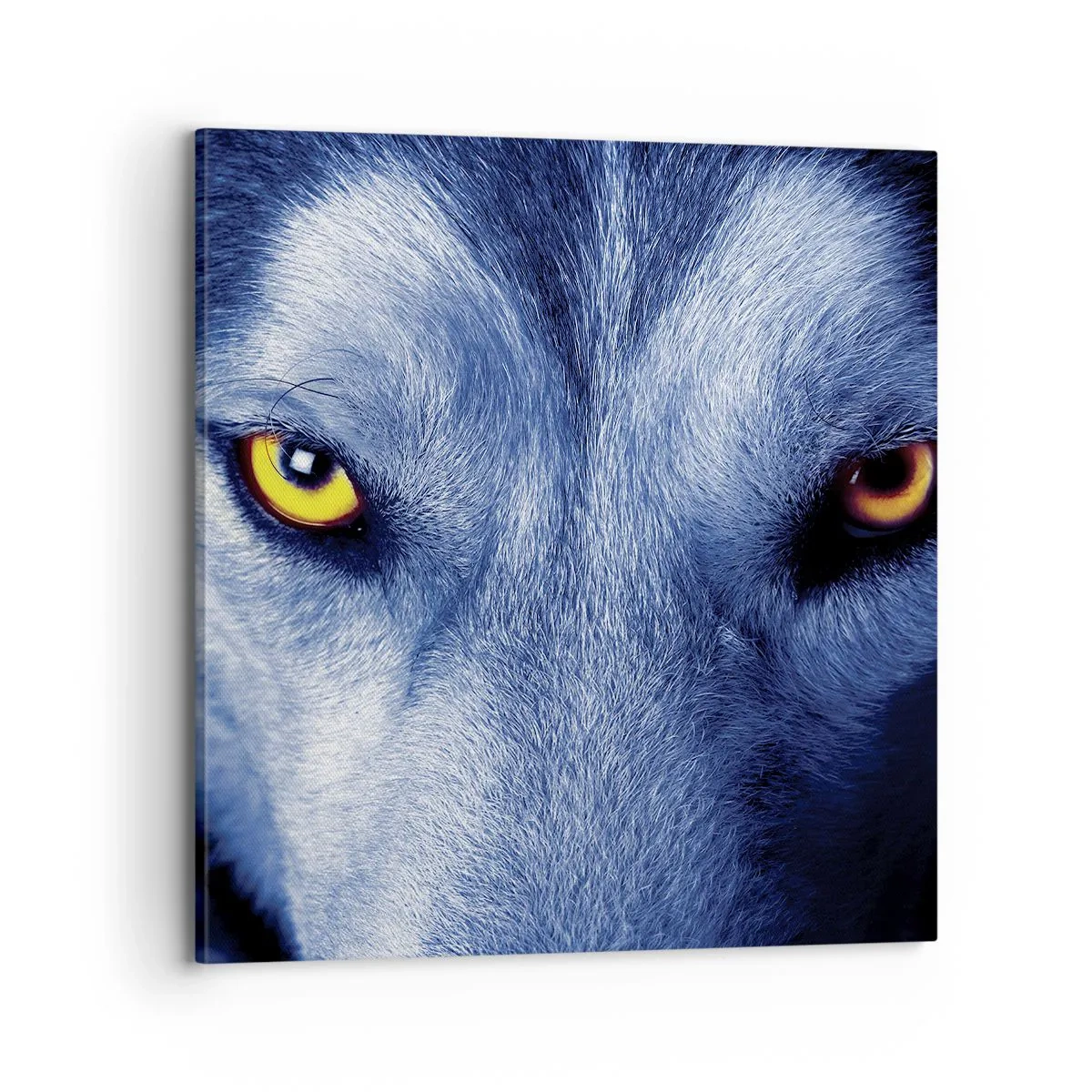 Quadro em tela - Olhar hipnotizante - 70x70 cm