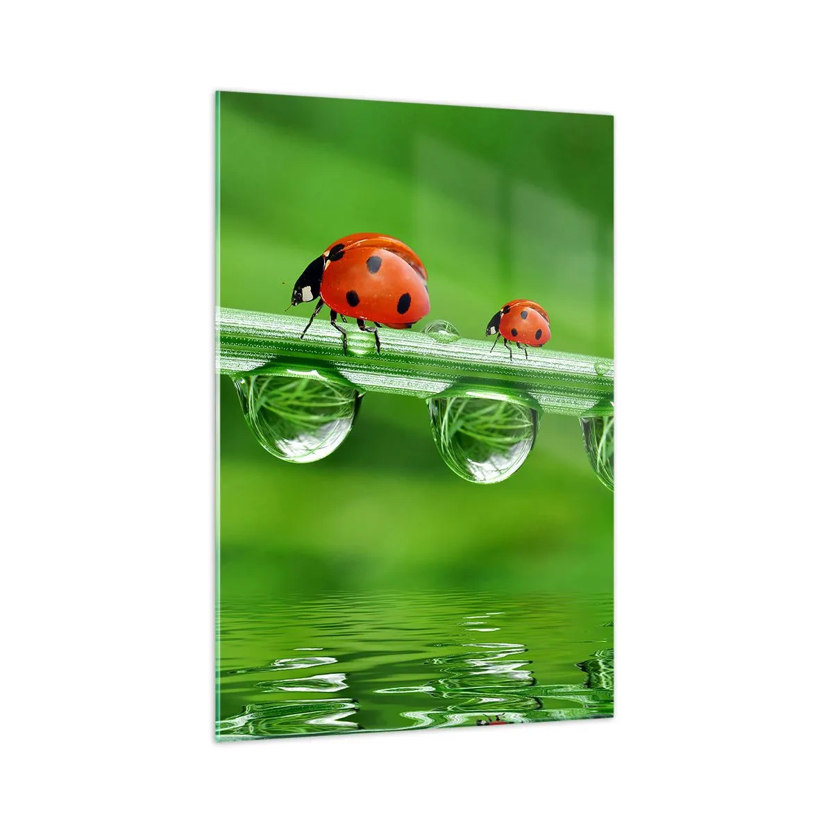 Quadro em vidro - Estrada do verão - 70x100 cm