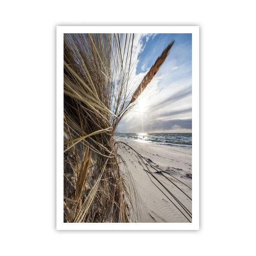 Pôster - Reunião dos rlementos da natureza - 70x100 cm