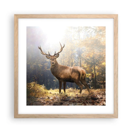 Pôster com moldura de carvalho claro - Em plena majestade - 40x40 cm