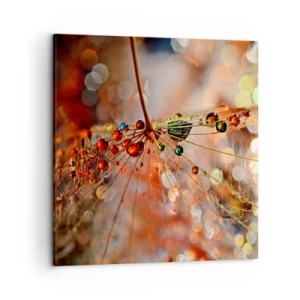 Quadro em tela - Enroscado numa teia de aranha - 50x50 cm