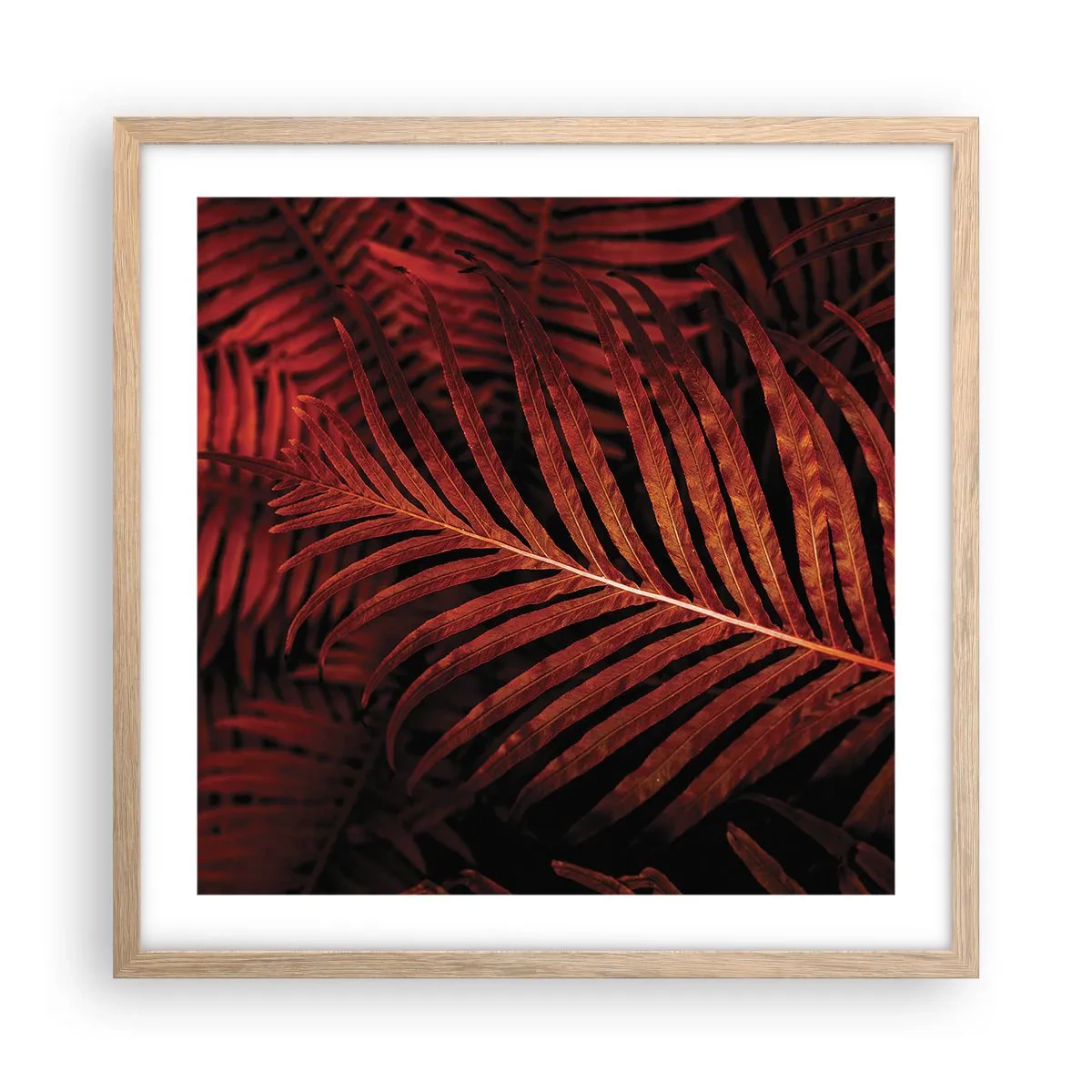 Pôster com moldura de carvalho claro - O calor da vida - 50x50 cm