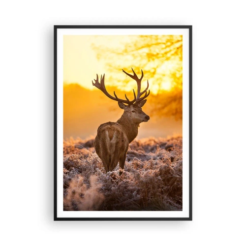 Pôster com moldura preta - Rei da floresta de outono - 70x100 cm
