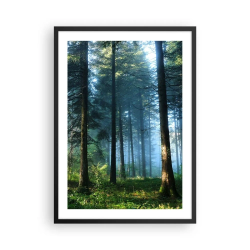 Pôster com moldura preta - Floresta de coníferas ao sol da manhã e neblina leve - 50x70cm - Radiante de manhã - Decoração de parede moderna para a sala de estar e quarto ARTTOR