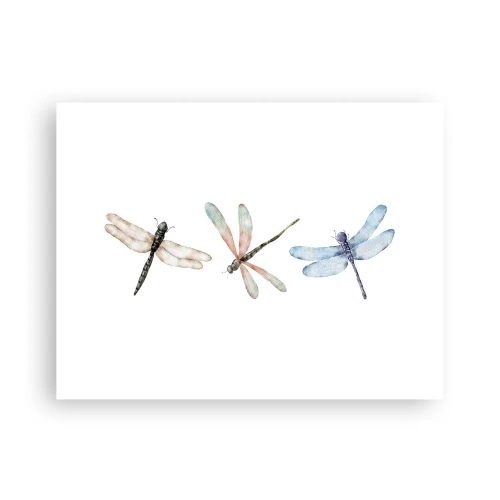 Pôster - Libélulas sem peso - 40x30 cm