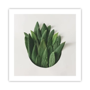 Pôster - Curiosidade indomável - 50x50 cm