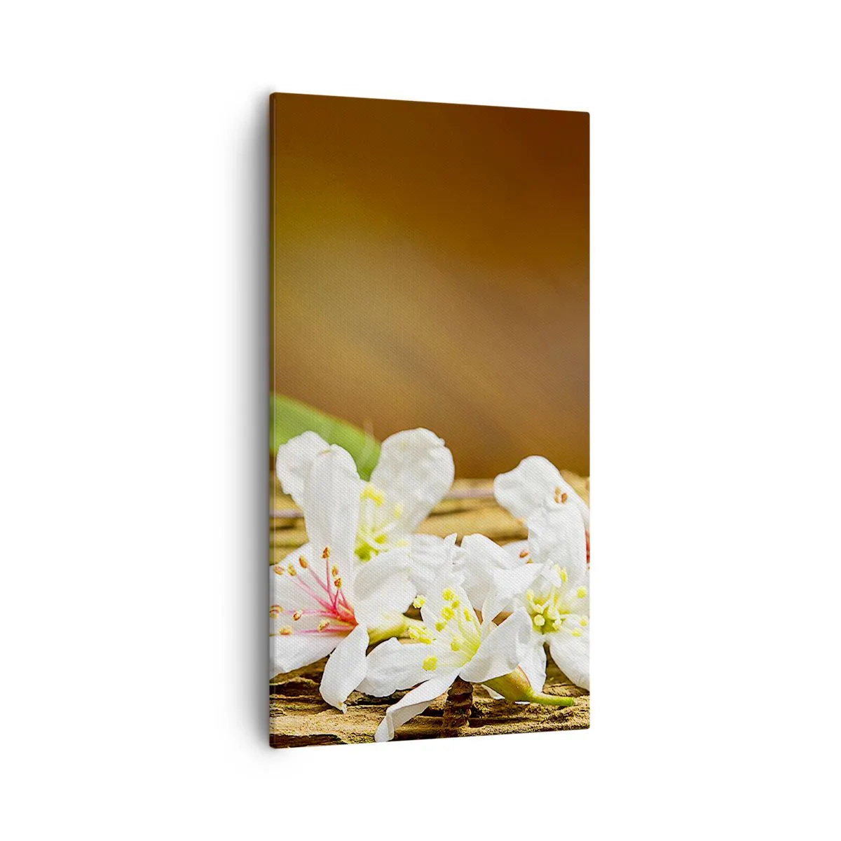 Quadro em tela - Uma promessa inocente - 55x100 cm