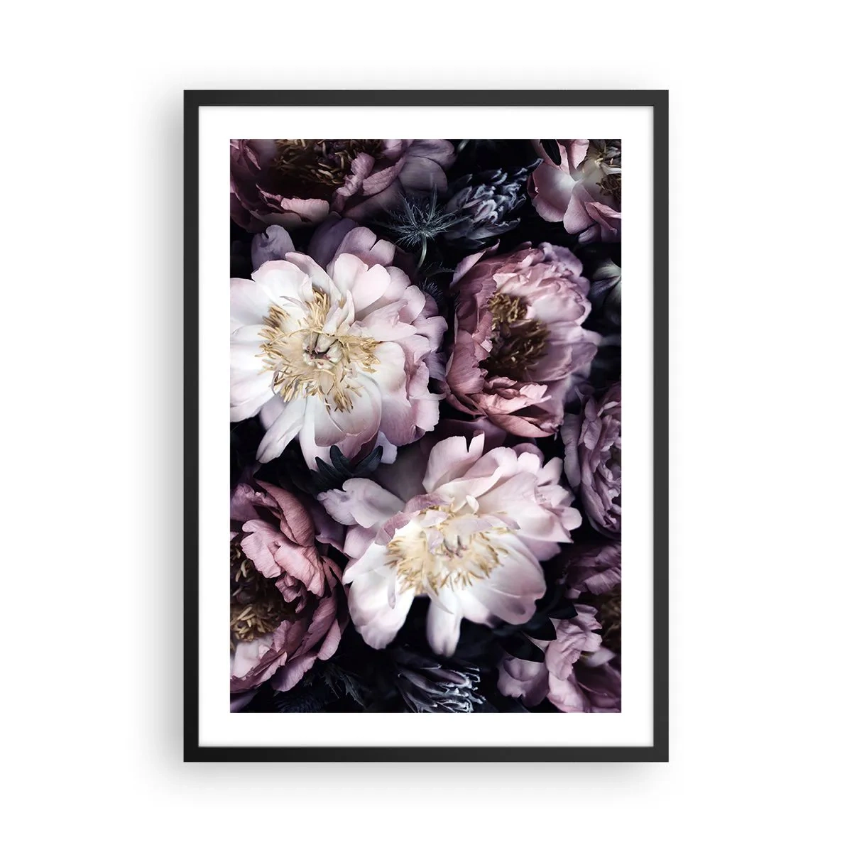 Pôster com moldura preta - Delicadas flores de peônia em cores suaves - 50x70cm - Bouquet à moda antiga - Decoração de parede moderna para a sala de estar e quarto ARTTOR