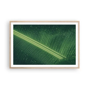 Pôster com moldura de carvalho claro - A estrutura da vegetação - 91x61 cm