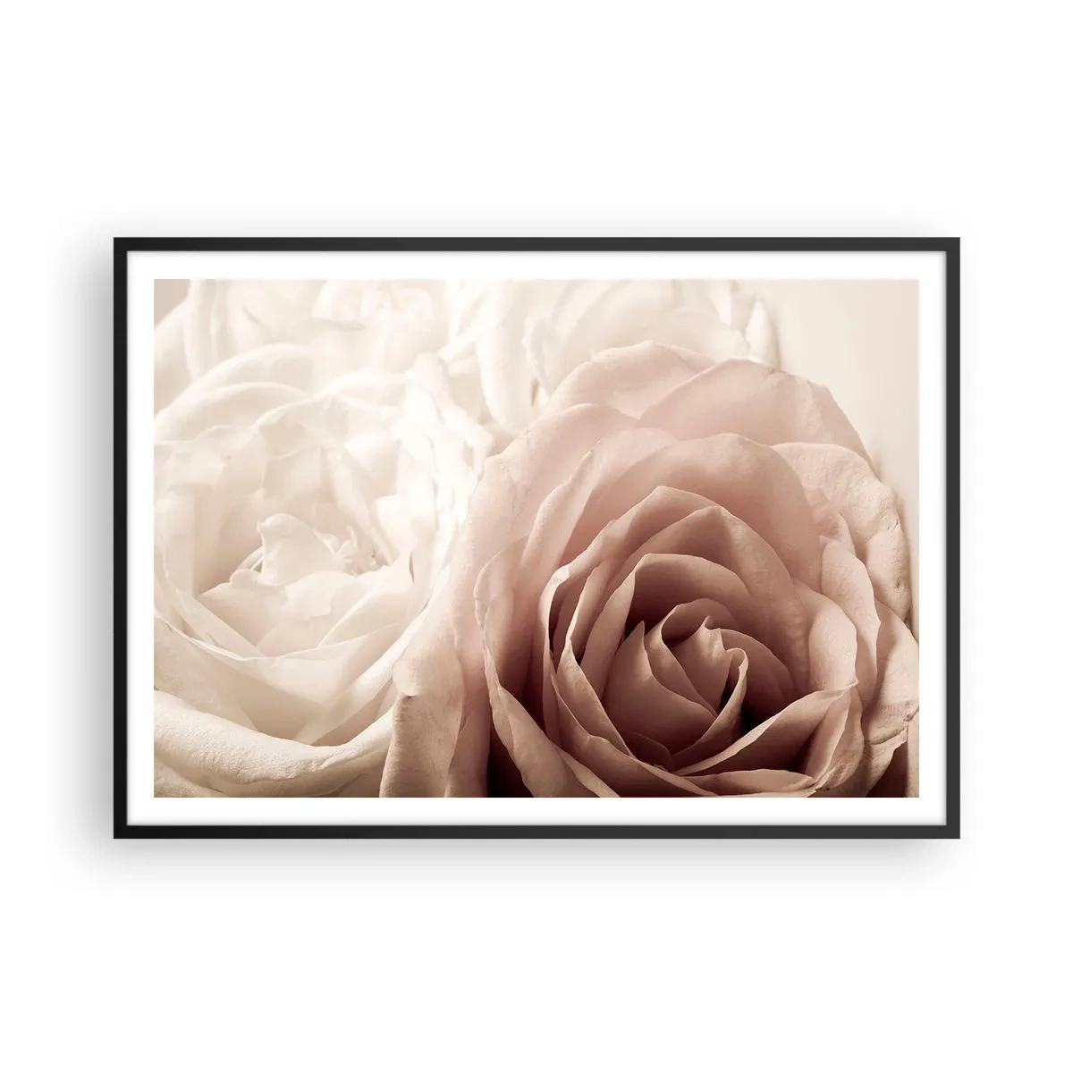 Pôster com moldura preta - No coração de uma rosa - 100x70 cm