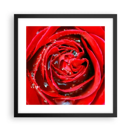 Pôster com moldura preta - Em gotas de orvalho - 40x40 cm