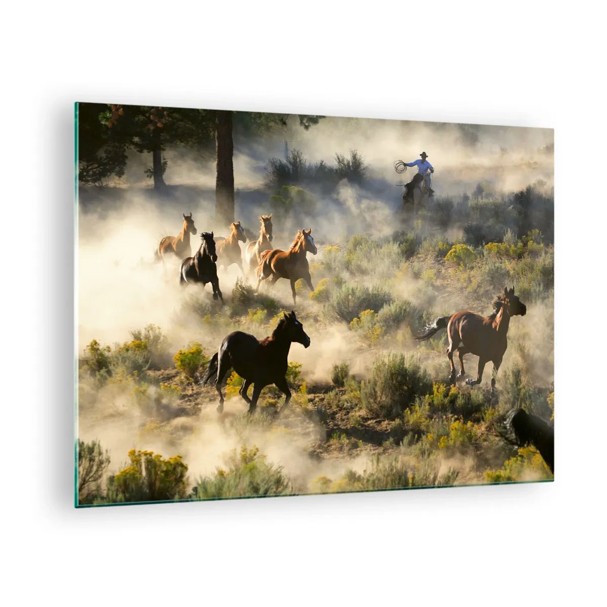 Quadro em vidro - Uma manada de cavalos galopando pela poeira e um cowboy tendo como pano de fundo a natureza - 70x50cm - Competição - liberdade ou força masculina? - Decoração de parede moderna para a sala de estar e quarto ARTTOR
