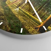 Mostrador com traços