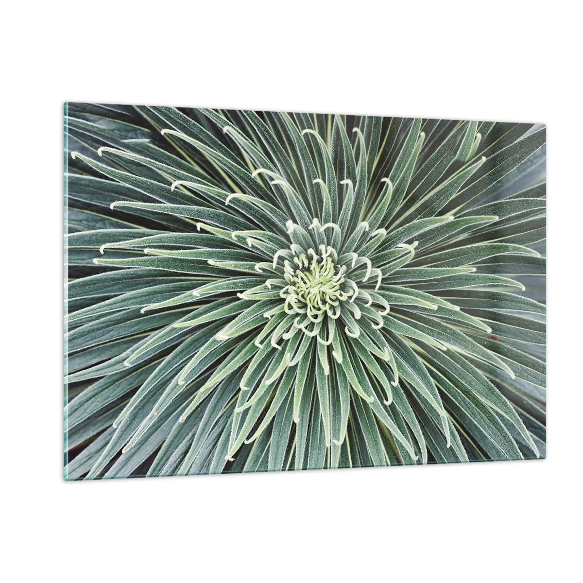 Quadro em vidro - Nasce uma estrela - 120x80 cm