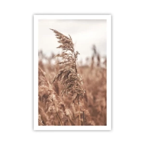 Pôster - O outono já chegou ao campo - 61x91 cm
