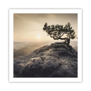 Pôster - A vida ganha sempre - 60x60 cm