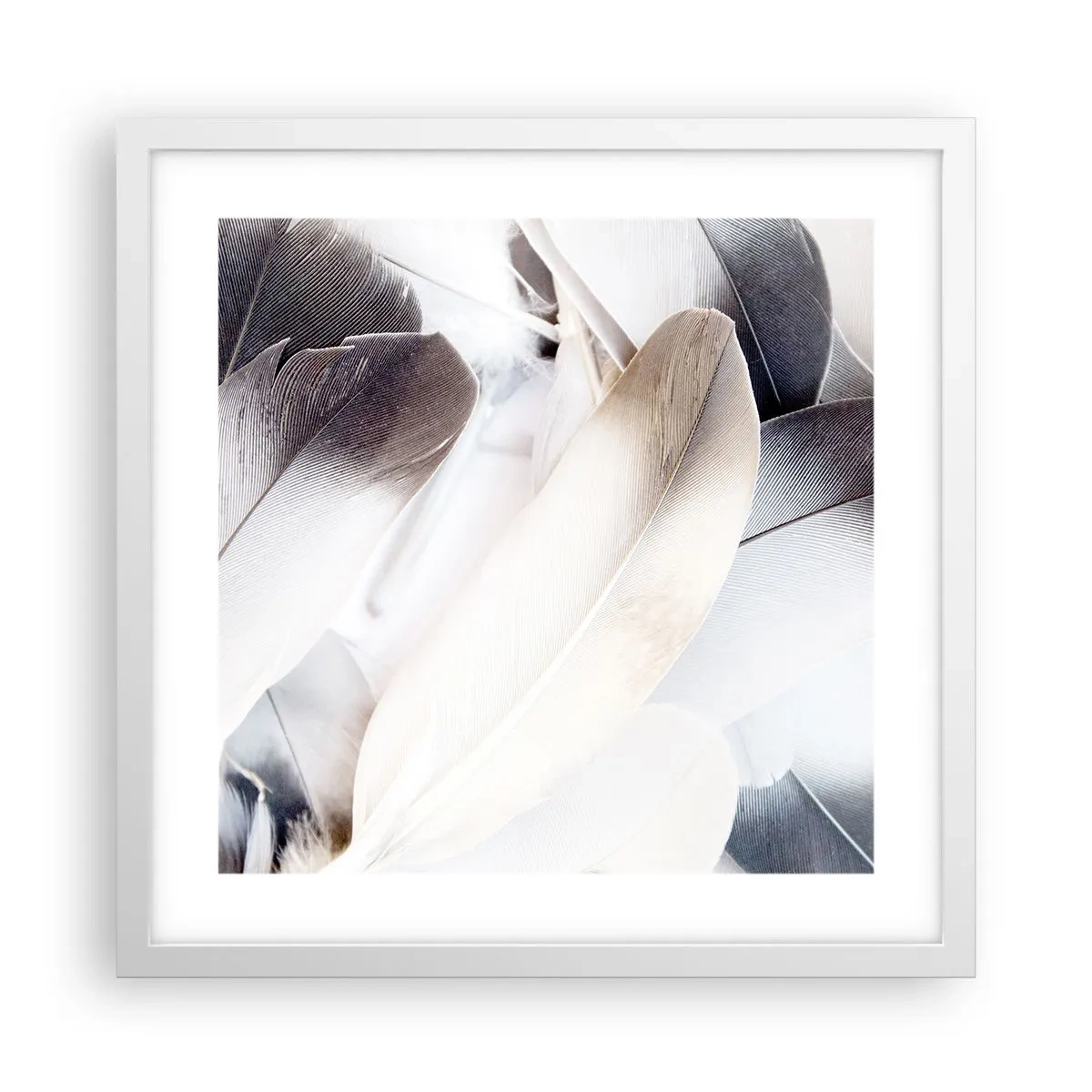 Pôster em moldura branca - Semi-angelical - 40x40 cm