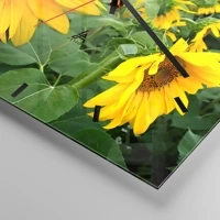 Mostrador com traços