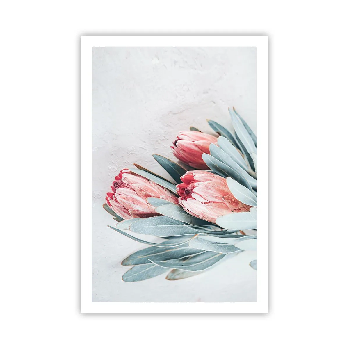 Pôster - Envergonhadas da sua própria beleza - 61x91 cm
