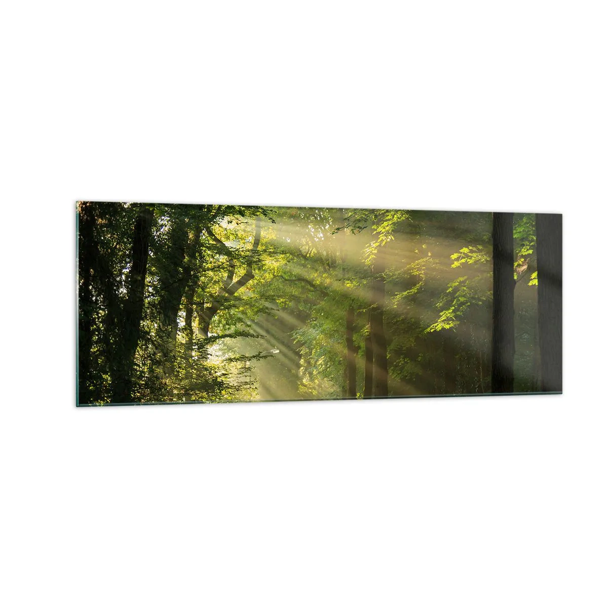 Quadro em vidro - Momento florestal - 140x50 cm