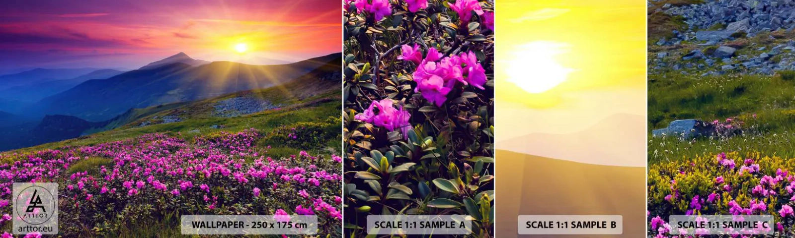 Amostra de Papel de Parede Standard Eco - …Cheiro de pinheiros e ervas da montanha - Paisagem, Montanhas, Pôr do sol - 100x30 cm