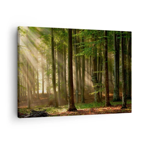 Quadro em tela - Raios de sol penetrando através das árvores da floresta - 70x50cm - Radiante em uma manhã de primavera - Decoração de parede moderna para a sala de estar e quarto ARTTOR