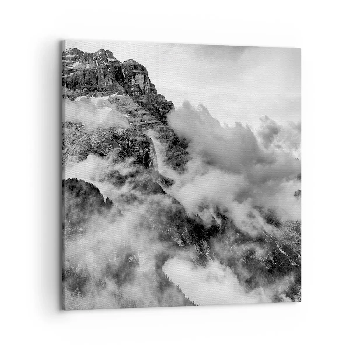 Quadro em tela - Bonitas e cruéis - 50x50 cm