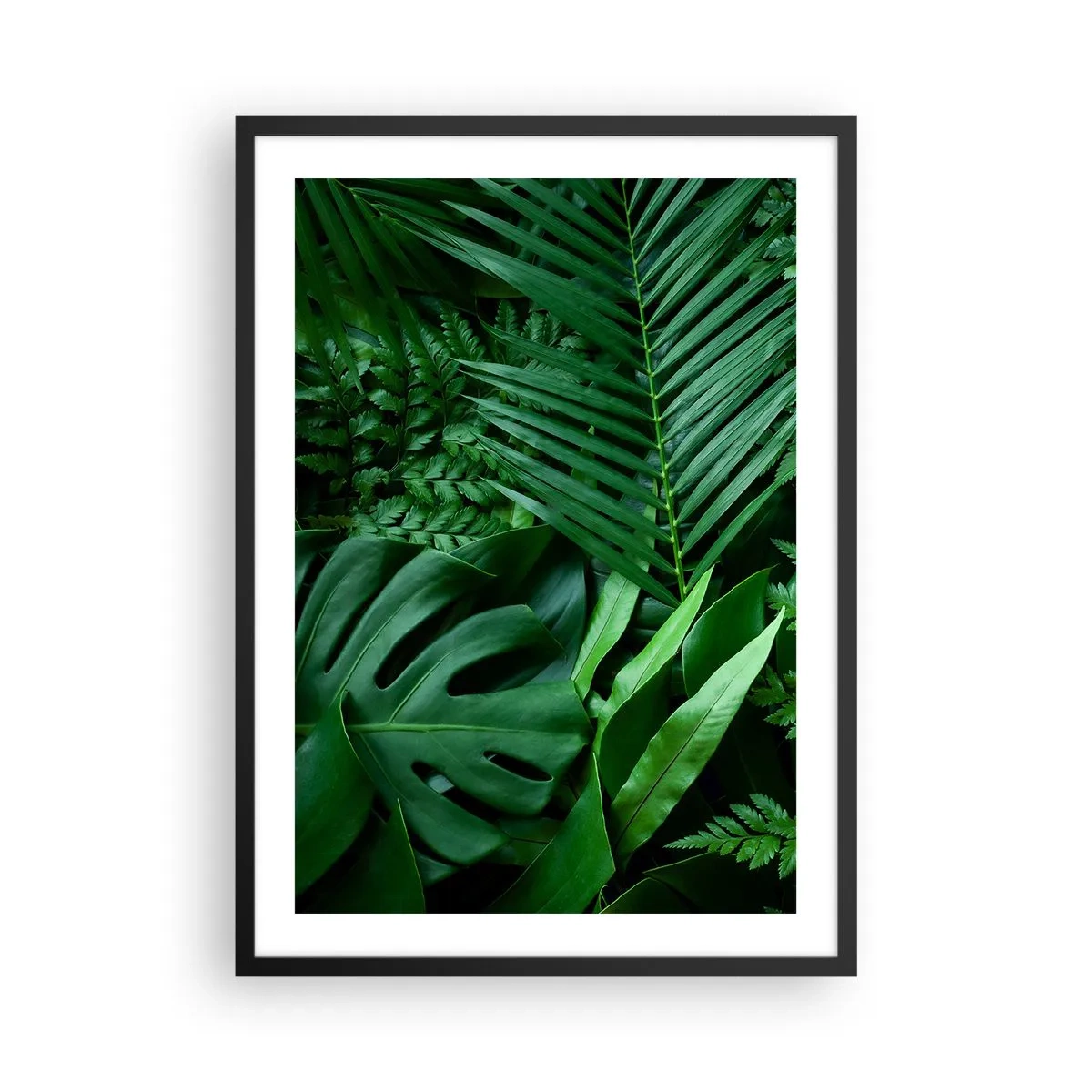 Pôster com moldura preta - Folhas verdes de samambaia e palmeira criam um padrão tropical - 50x70cm - Envolto em verde - Decoração de parede moderna para a sala de estar e quarto ARTTOR