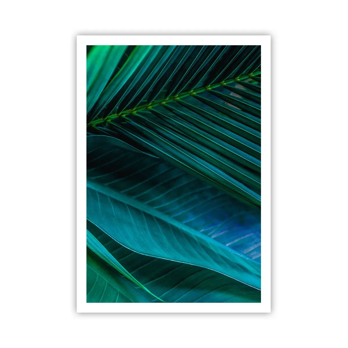 Pôster - Anatomia da vegetação - 70x100 cm