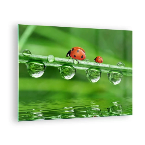 Quadro em vidro - Joaninhas em uma folha de grama com gotas de orvalho e reflexo na água - 70x50cm - Estrada do verão - Decoração de parede moderna para a sala de estar e quarto ARTTOR