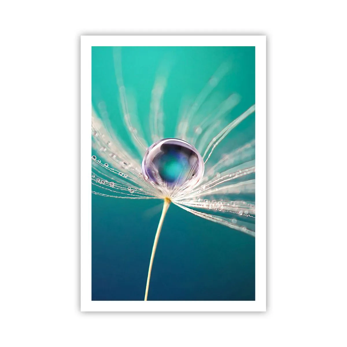 Pôster - Momento místico - 61x91 cm