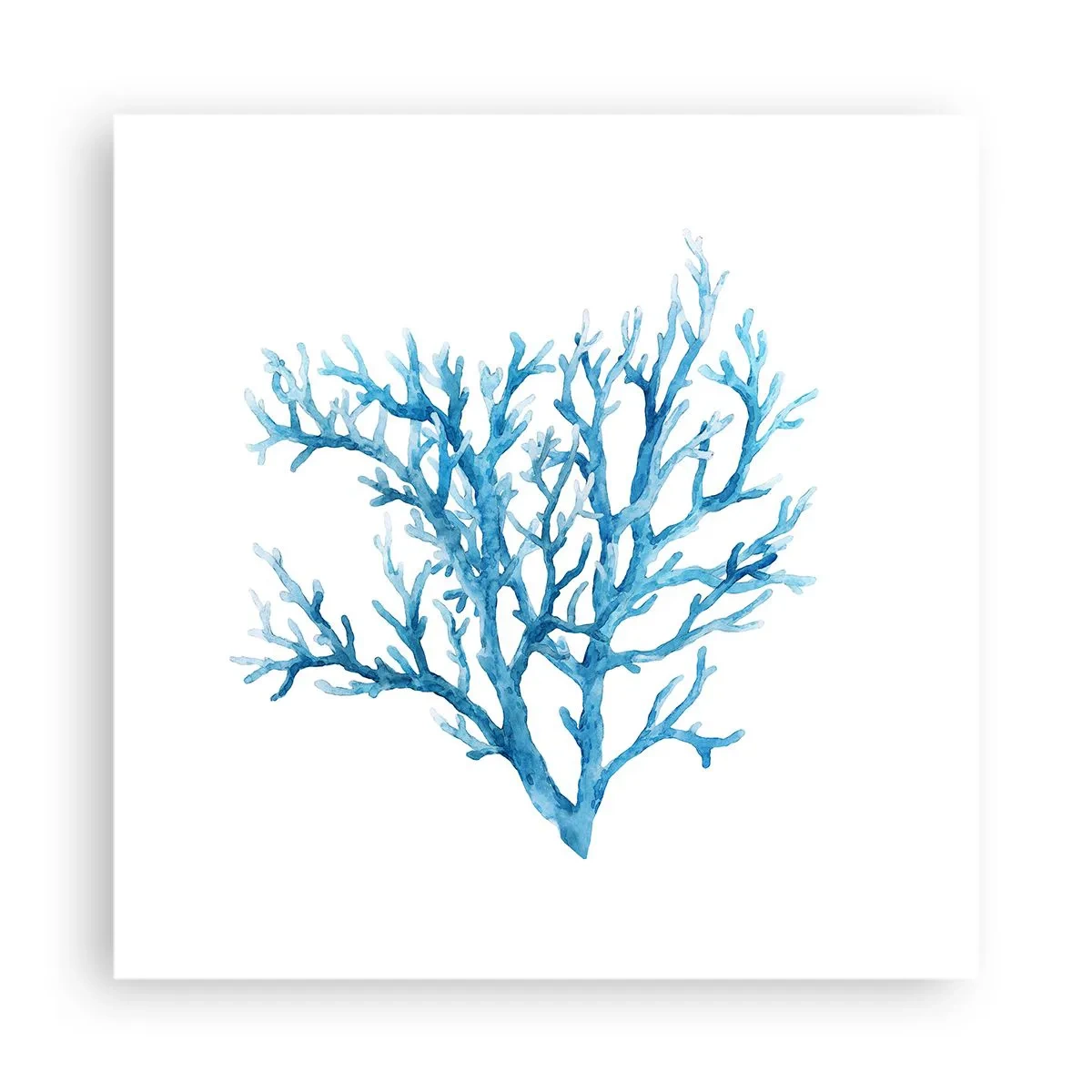 Pôster - Filigrana náutica - 40x40 cm